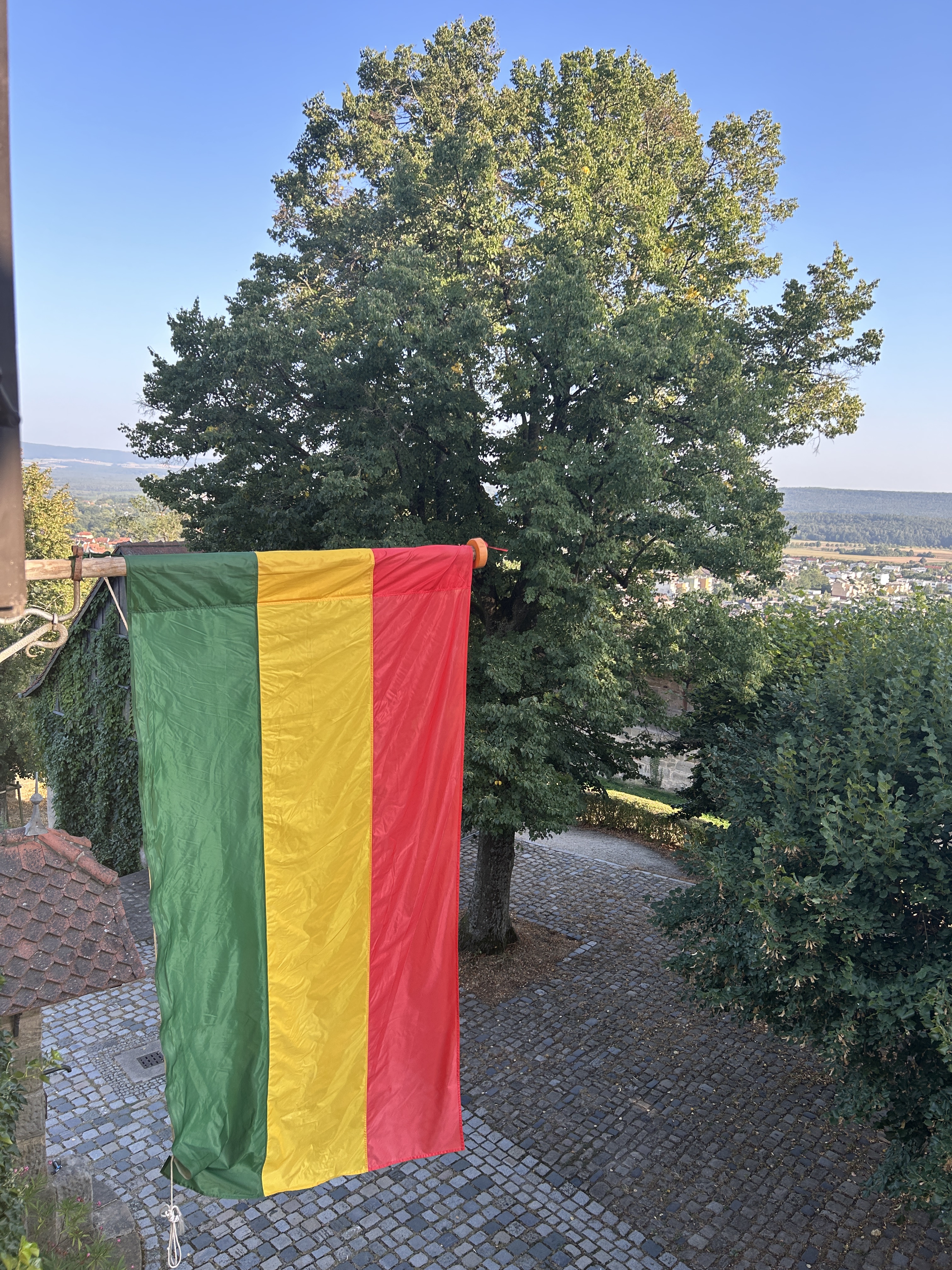 Fahne der Arminia auf der Altenburg